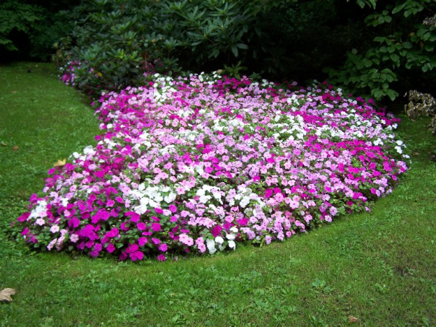 partaire-de-fleurs-rose